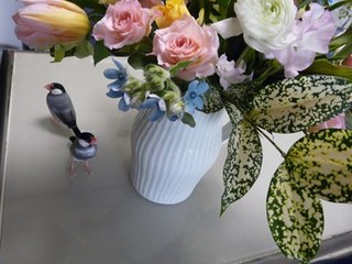s-P1150055.jpg
