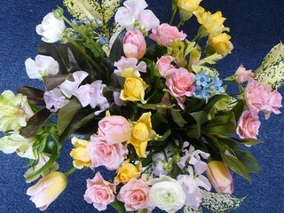 s-P1150057.jpg