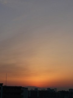 s-P1150059.jpg
