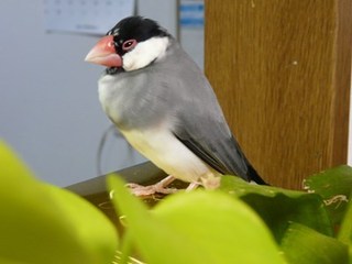 s-P1150068.jpg