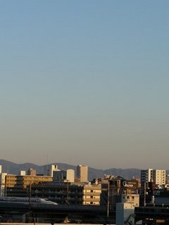 s-P1150072.jpg