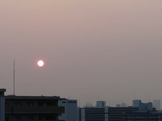 s-P1150073.jpg