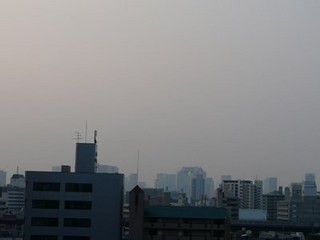 s-P1150075.jpg