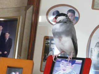 s-P1150089.jpg