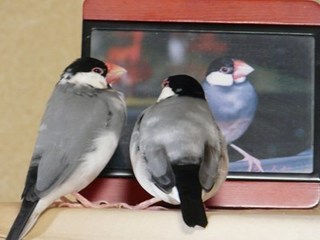 s-P1150095.jpg