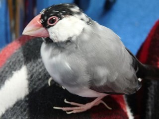 s-P1150114.jpg