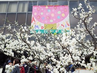 s-R0014065.jpg