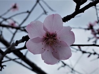 s-R0014100 (2).jpg