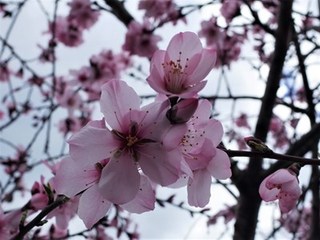 s-R0014101 (2).jpg