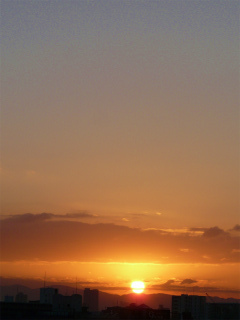 sP1130957.jpg